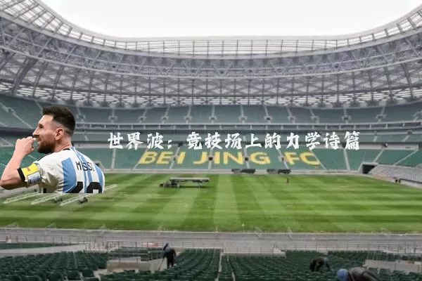 世界波:竞技场上的力学诗篇