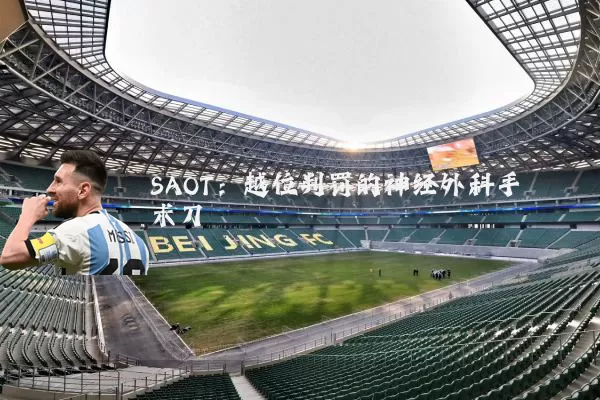 SAOT:越位判罚的神经外科手术刀
